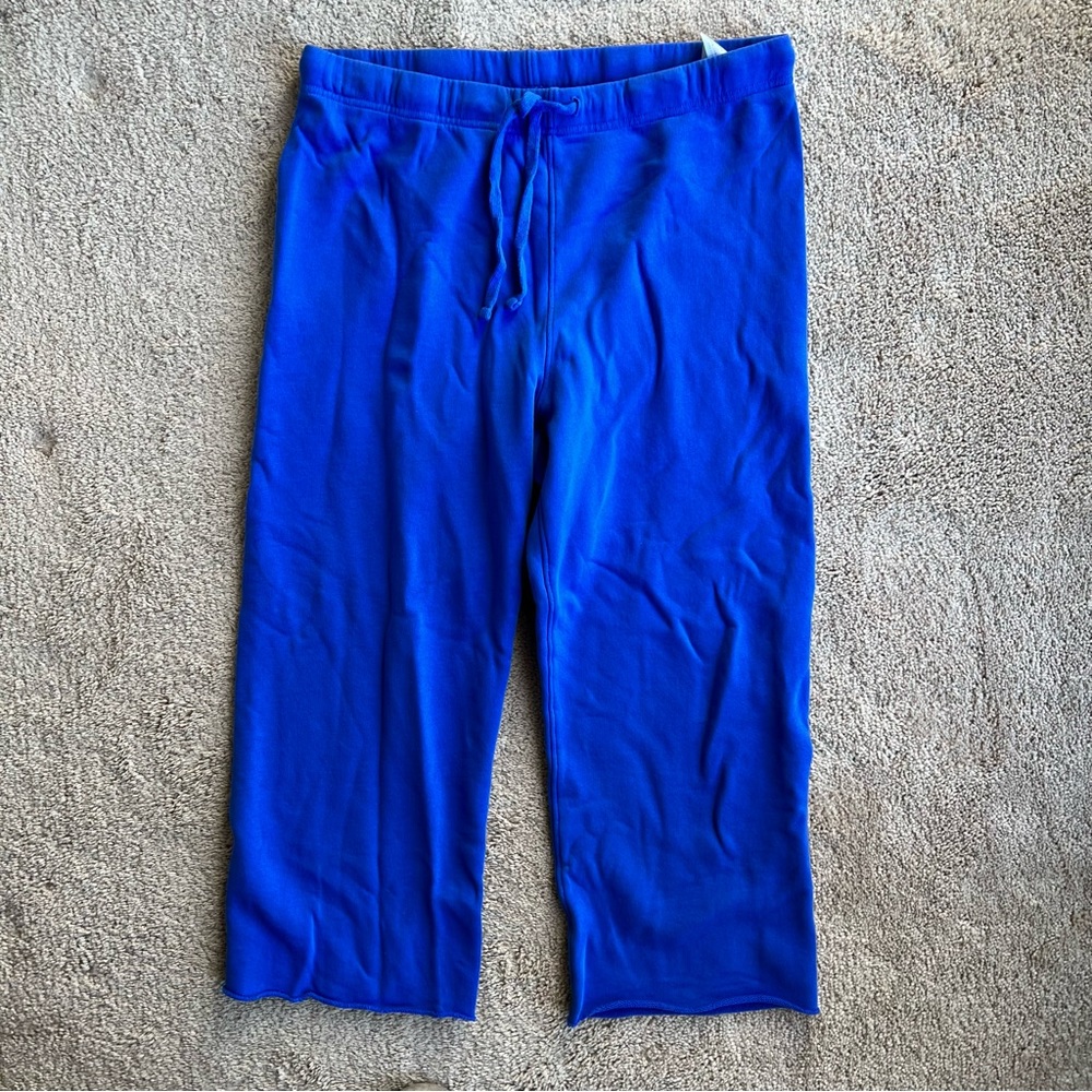 Frank and Eileen The Favorite Sweatpant size M periwinkle
